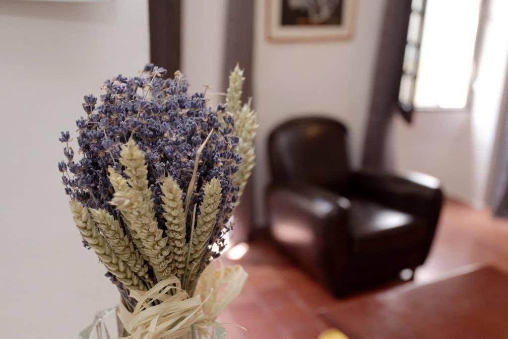 Maison Pittorresque St Paul De Vence サン・ポール・ド・ヴァンス エクステリア 写真